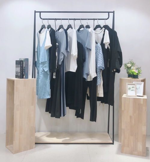 復(fù)古風(fēng)尚，精品庫存女裝連衣裙尾貨批發(fā)指南